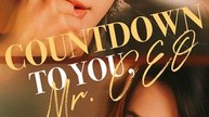 Countdown to You, Mr. CEO - Chinese Drama - English Sub