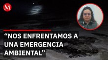 Greenpeace exige declarar emergencia y señala falta de limpieza por derrame de petróleo en el Golfo
