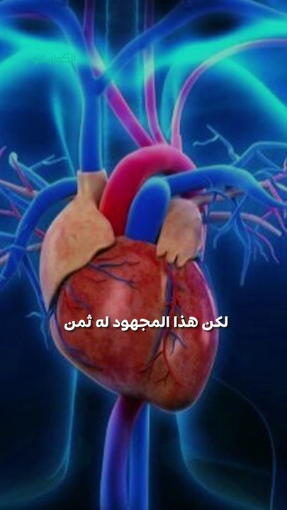 موجة باردة تضرب البلاد.. وقلبك في خطر