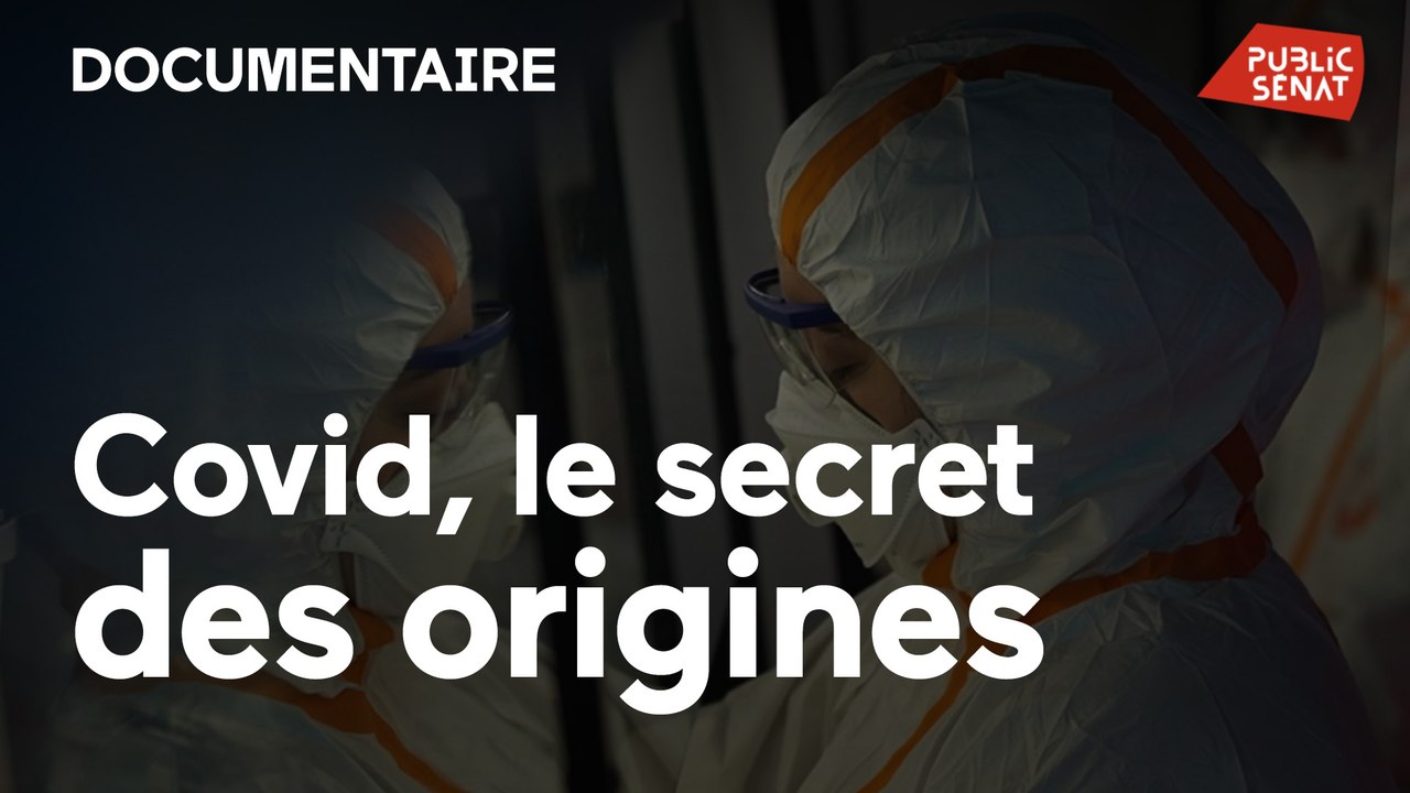 Covid, le secret des origines