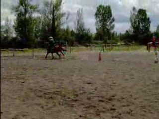 Pole blending Mister & Gilbert 2