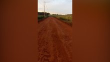 Moradores de Cascavel cobram melhorias urgentes em estrada rural próxima ao autódromo