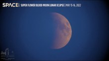 Amazing Super Flower Blood Moon Eclipse Time-Lapse