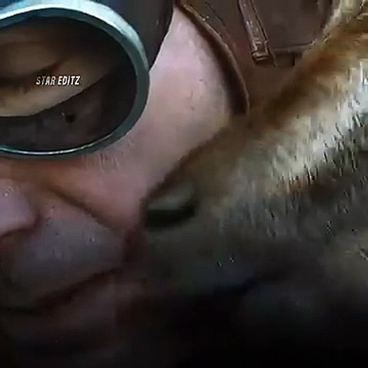 CHILL GOAT ☠️🤯 UNEXPECTED MOMENT #hollywood #trollface #edit #sgorts (360p_30fps_H264-128kbit_AAC)