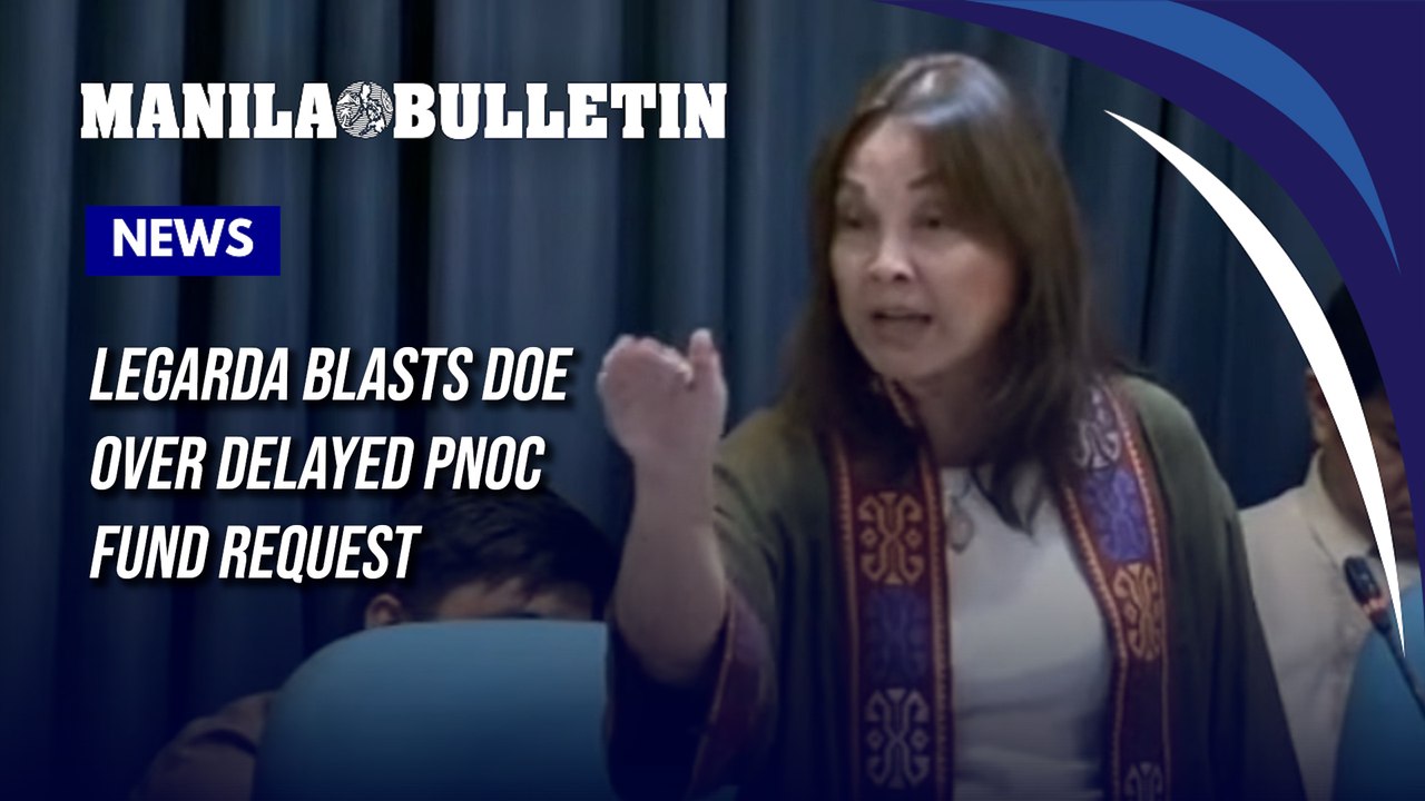 Legarda blasts DOE over delayed PNOC fund request