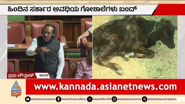 ಗೋವುಗಳ ಮೇಲೆ ಸರ್ಕಾರಕ್ಕೆ ಯಾಕಿಷ್ಟು ಸಿಟ್ಟು? | Prabhu Chauhan Speech in Assembly | Suvarna News