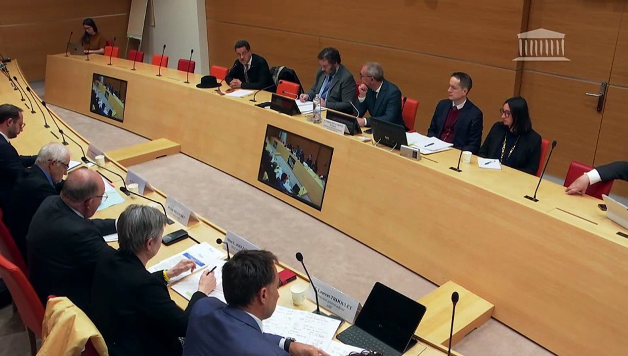 Délégation aux collectivités territoriales et à la décentralisation : Représentants du CNFEL, de l'AMF, de l’AMR 79, de Villes de France, et de l’APVF - Mardi 24 mars 2026