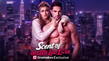 Scent of the ceo's lost love - Full English Sub