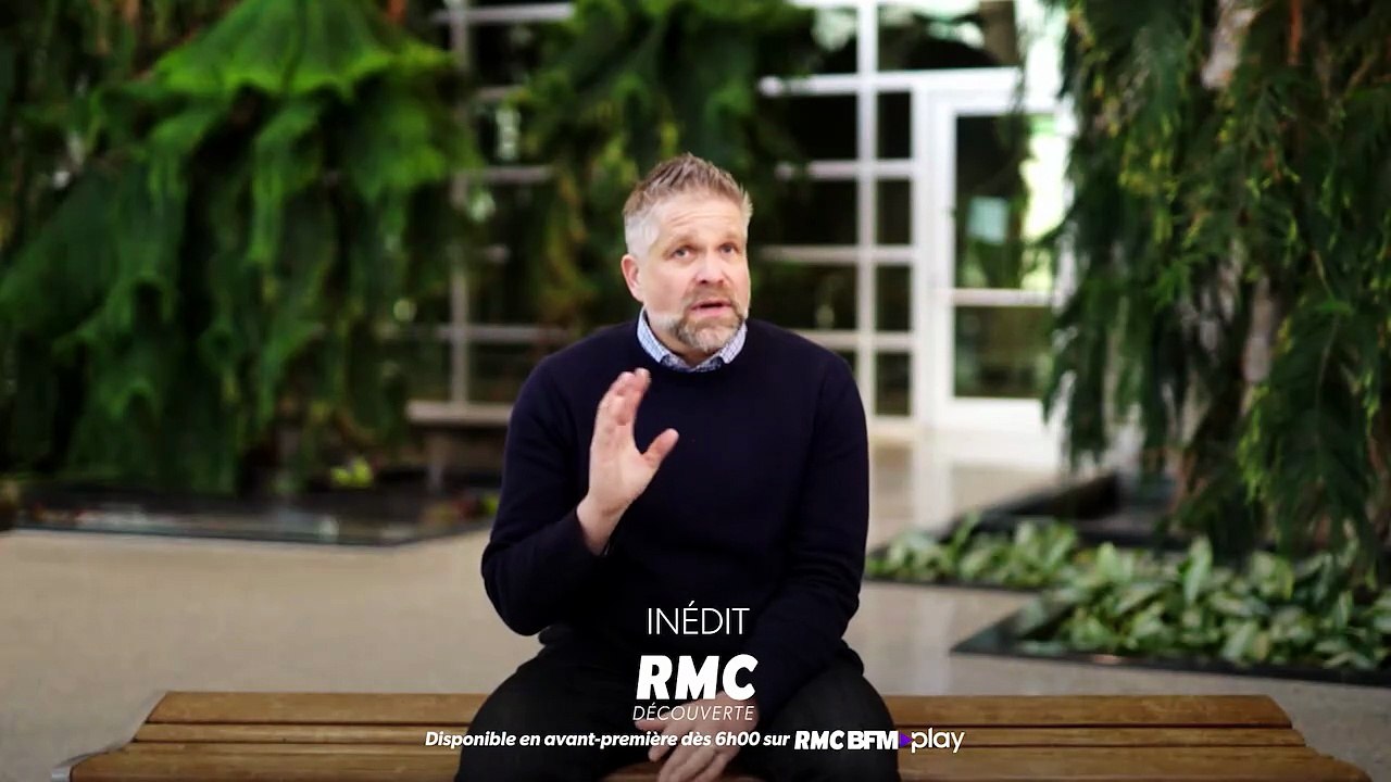 Mammouths, dinosaures : peut-on vraiment les faire revenir ?