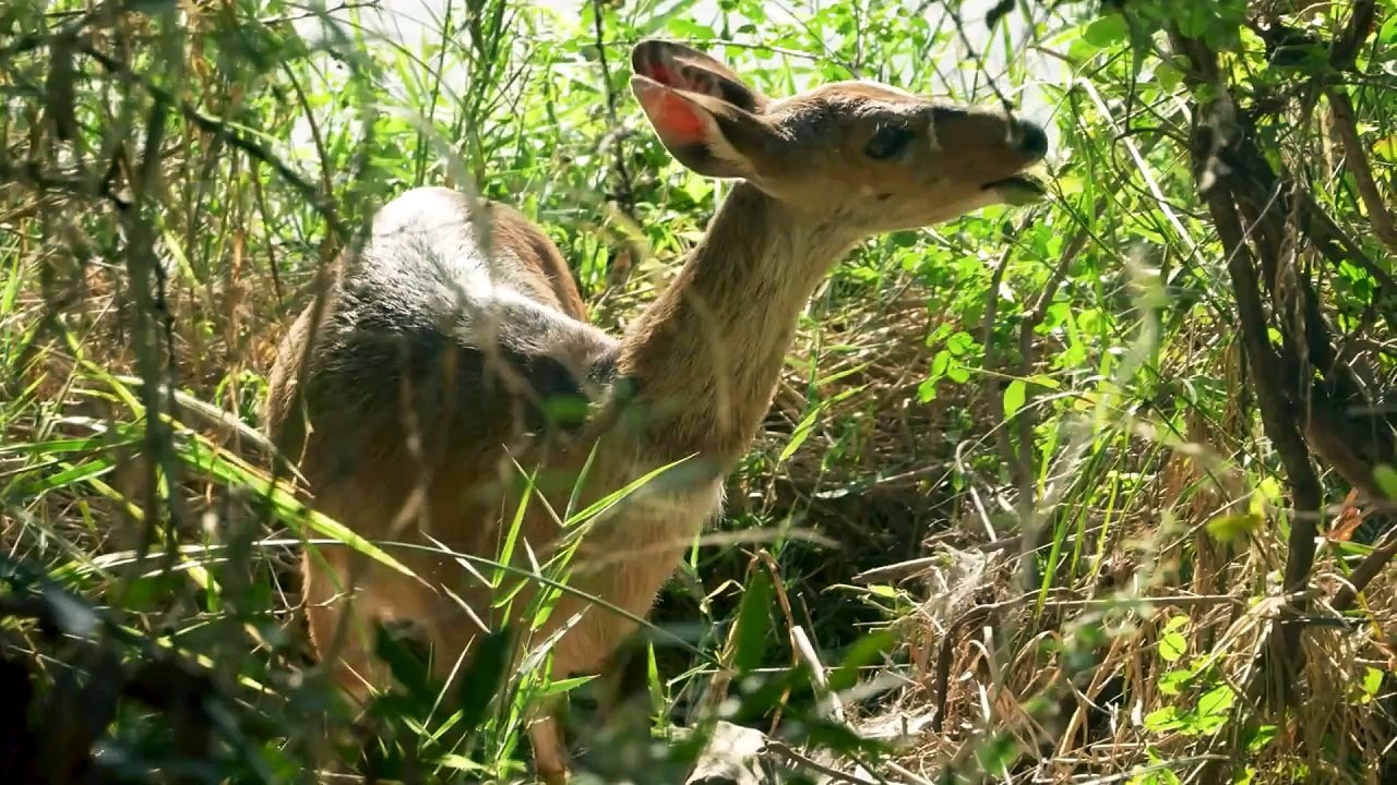Hotellandschaft Südafrikas: Ein 'AHA-Effekt' am Start