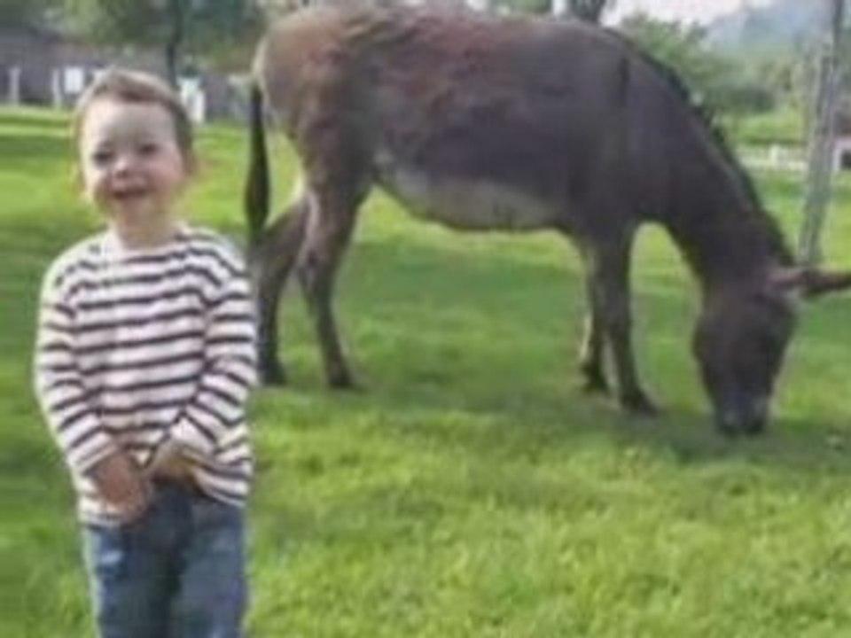 Valentin - 21 mois et demi - Ferme pédagogique