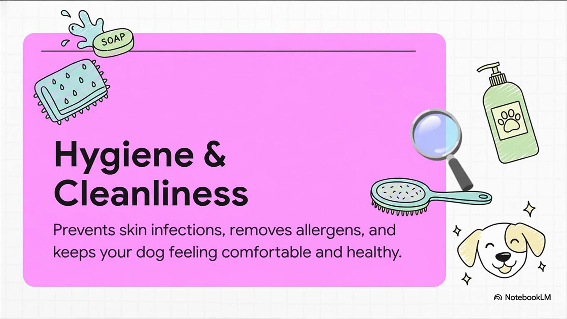 ⁣Dog Grooming Auckland  Professional Pet Care