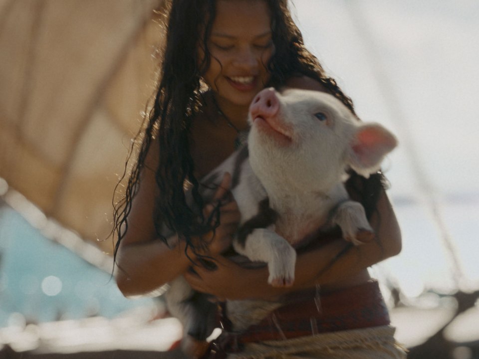 Moana (Vaiana: La Légende du bout du monde): Trailer HD VF