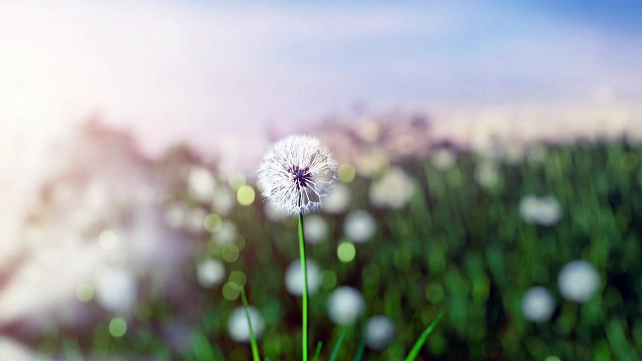 Omniscient Reader The Prophecy