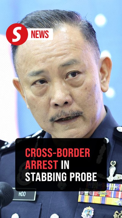 Johor cops nab another suspect in stabbing murder of Singaporean