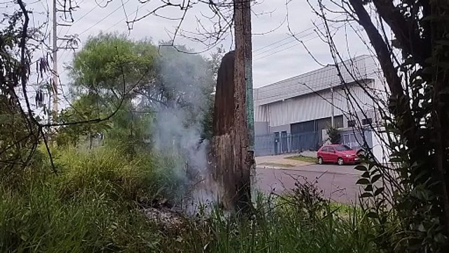 Incêndio em vegetação mobiliza Corpo de Bombeiros no bairro Cataratas, em Cascavel