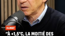 "A +1,5 degrés, la moitié des coraux des Caraïbes ont déjà disparu"