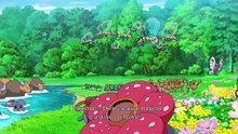 Serie Esplorazioni Pokémon | Anteprima