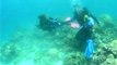 Darylaut Shipwreck  in Anilao Mabini, Batangas, Philippines