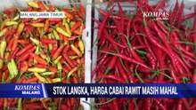 Stok Langka, Harga Cabai Rawit Masih Mahal