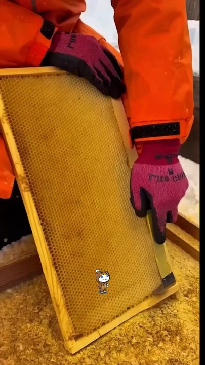 Vous auriez fait quoi à ma place ?