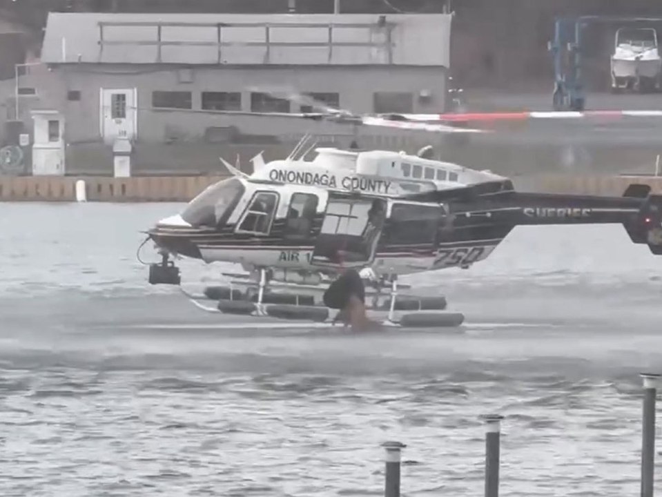 Spektakuläre Luftrettung: Polizei rettet Hund aus eiskaltem Fluss