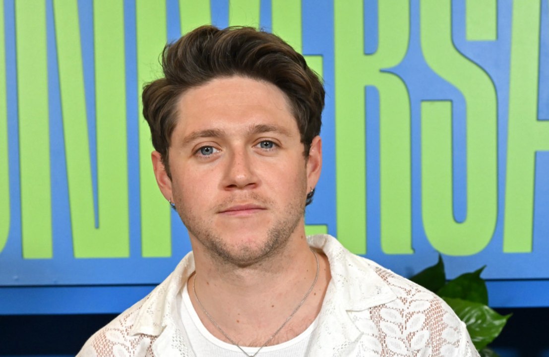Niall horan hat angst vor hüftprothesen