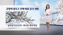 [이슈 날씨] 군항제 앞두고 진해 벚꽃 공식 개화...내일도 따뜻한 봄 날씨 / YTN