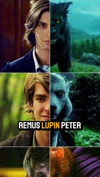 spin off harry potter