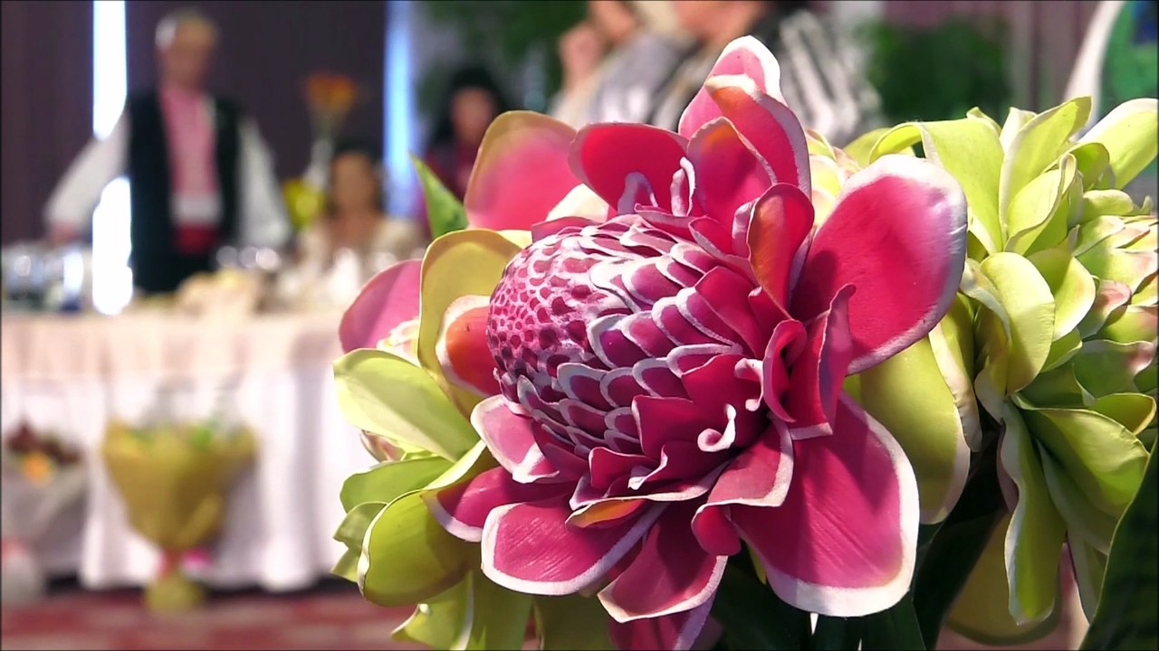 Saveta Bogdan - La multi ani, paharul sus (Cantec din suflet de roman - ETNO TV - 31.10.2025)