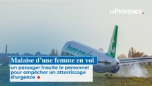 Une femme enceinte fait un malaise dans un avion, un passager insulte le personnel pour empêcher un atterrissage d'urgen