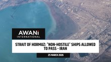 'Non-hostile' ships allowed to pass Strait of Hormuz - Iran