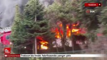 Trabzon'da fındık fabrikasında yangın çıktı