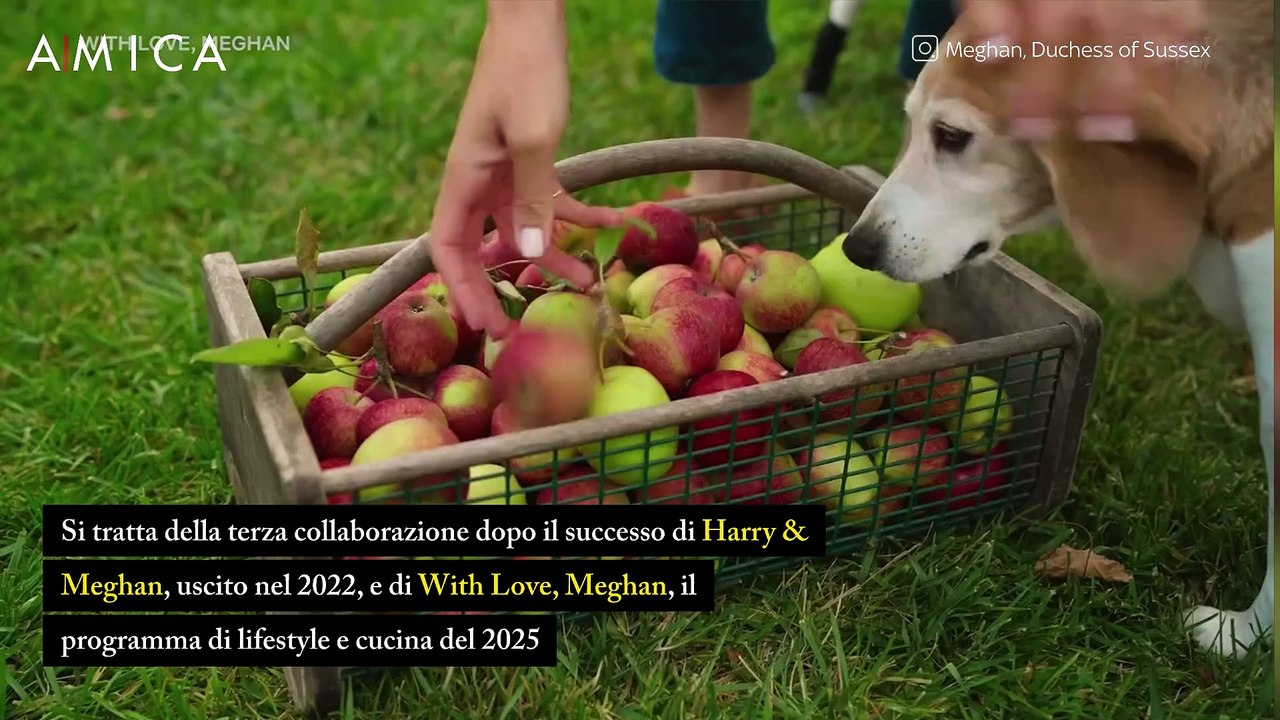 Harry e Meghan ci riprovano con una serie Netflix a tema polo