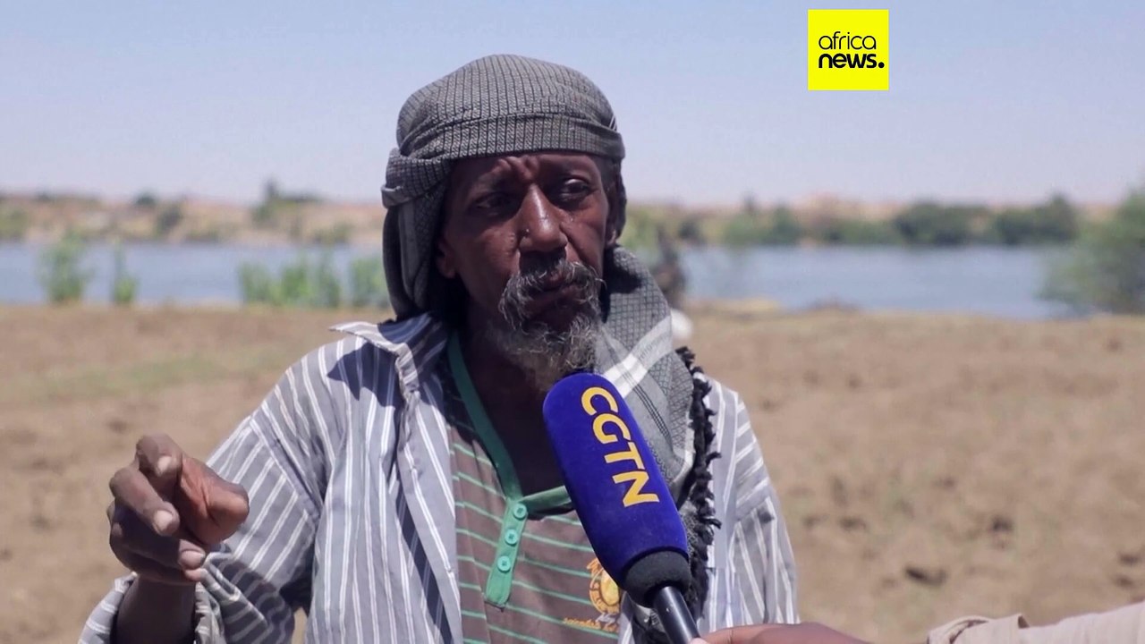 Guerre au Moyen-Orient : le coût des engrais agricoles menace la sécurité alimentaire en Afrique