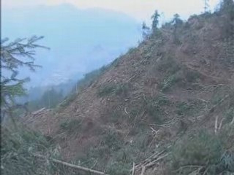 Action_Carbone_biogaz_en_Chine