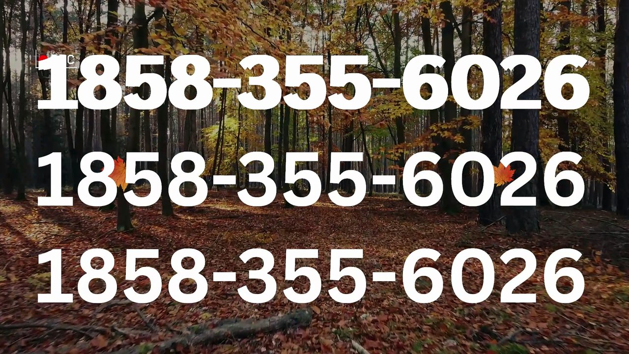 ≋[FULL GUIDE] Coinbase® HELP DESK© SUPPoRT℗ Phone NuMber (OfficiAl)