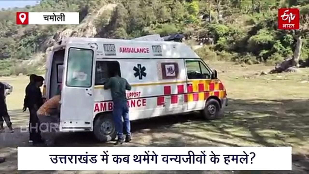 मायके आई महिला पर भालू का हमला, हालत चिंताजनक होने पर एयरलिफ्ट कर भेजा गया हायर सेंटर