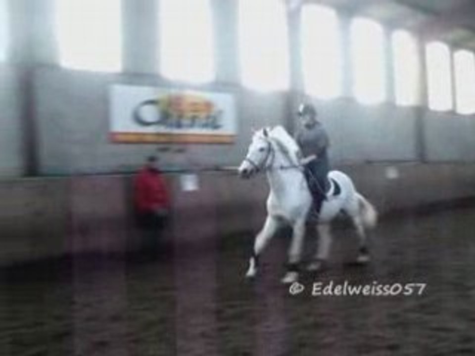 UNE DERNIERE DANSE «'3