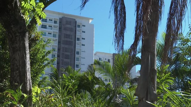 Retos en Puerto Vallarta: movilidad, agua y limpieza 🏝️ | CPS Noticias Puerto Vallarta
