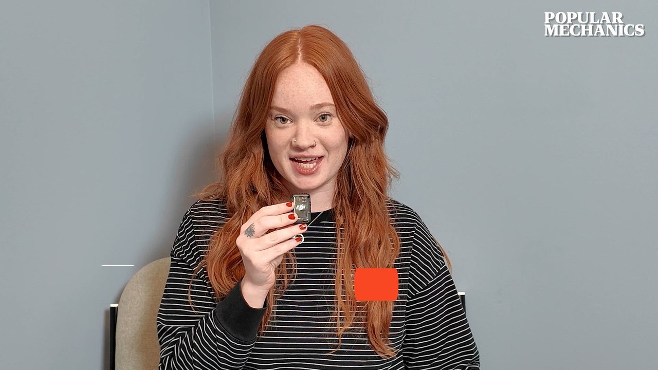 Chernobyl Dogs Are Evolving Inexplicably