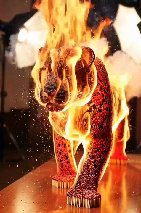 Epic Leopard Made of 10,000 Burning Matchsticks! Mind-Blowing Fire Art