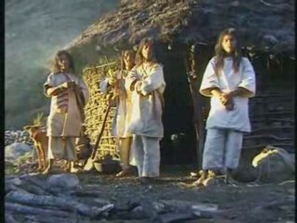 Action Carbone reforestation en Colombie