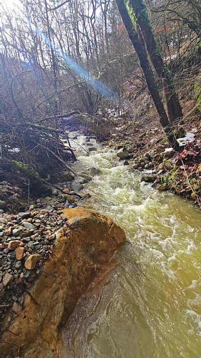Gold prospecting in the stream; I haven't seen this stream like this in a long time.