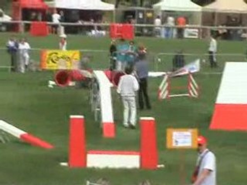 Chpt de France 08 Voyou 2eme Manche - Agility