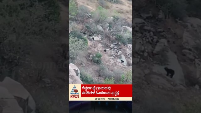 ಗ್ರಾಮದಲ್ಲಿ ಕರಡಿಗಳ ಹಿಂಡು ಪ್ರತ್ಯಕ್ಷ: ಜನರ ಆತಂಕ | #vijayanagara #bear #wildlife #suvarnanews