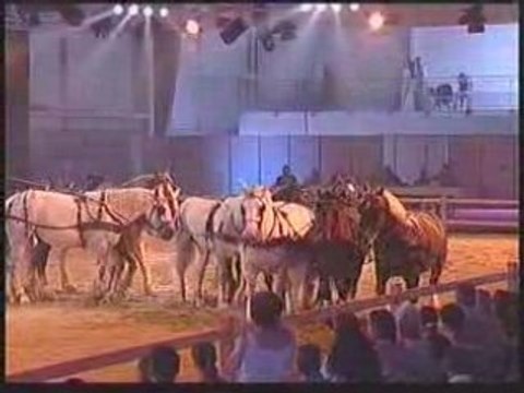 Poste Hongroise et chevaux lourds ...Lou ETIEN