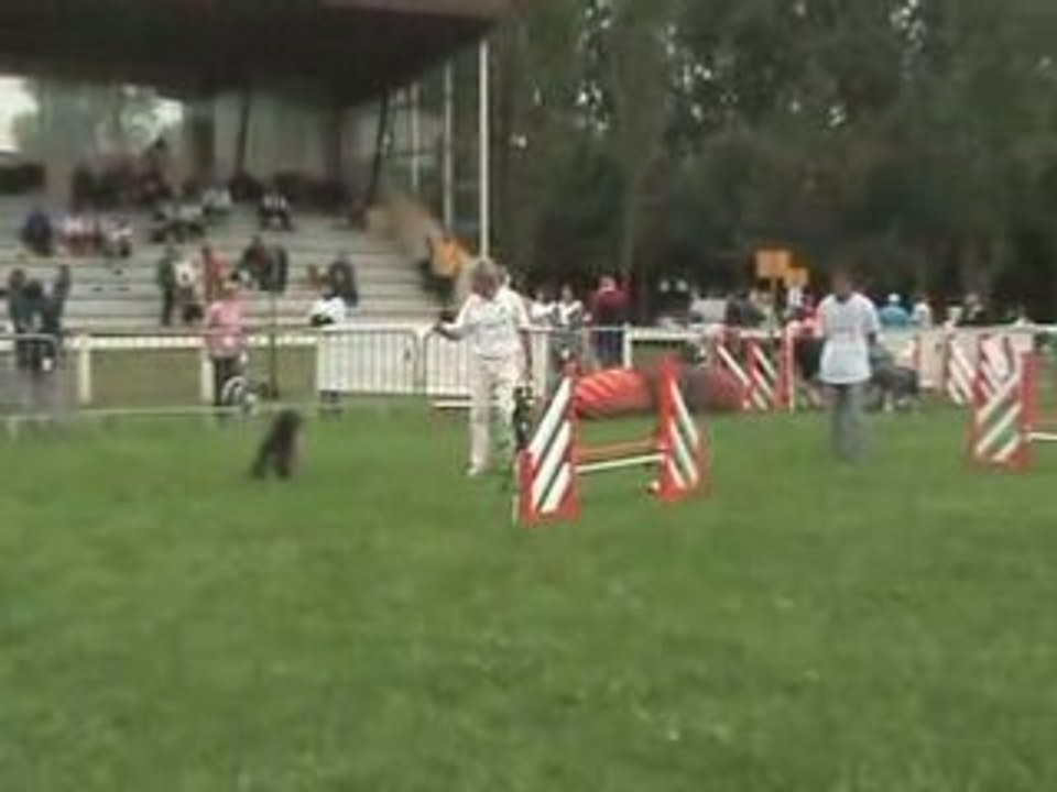 Chpt de France 08 Voyou 3eme Manche - Agility