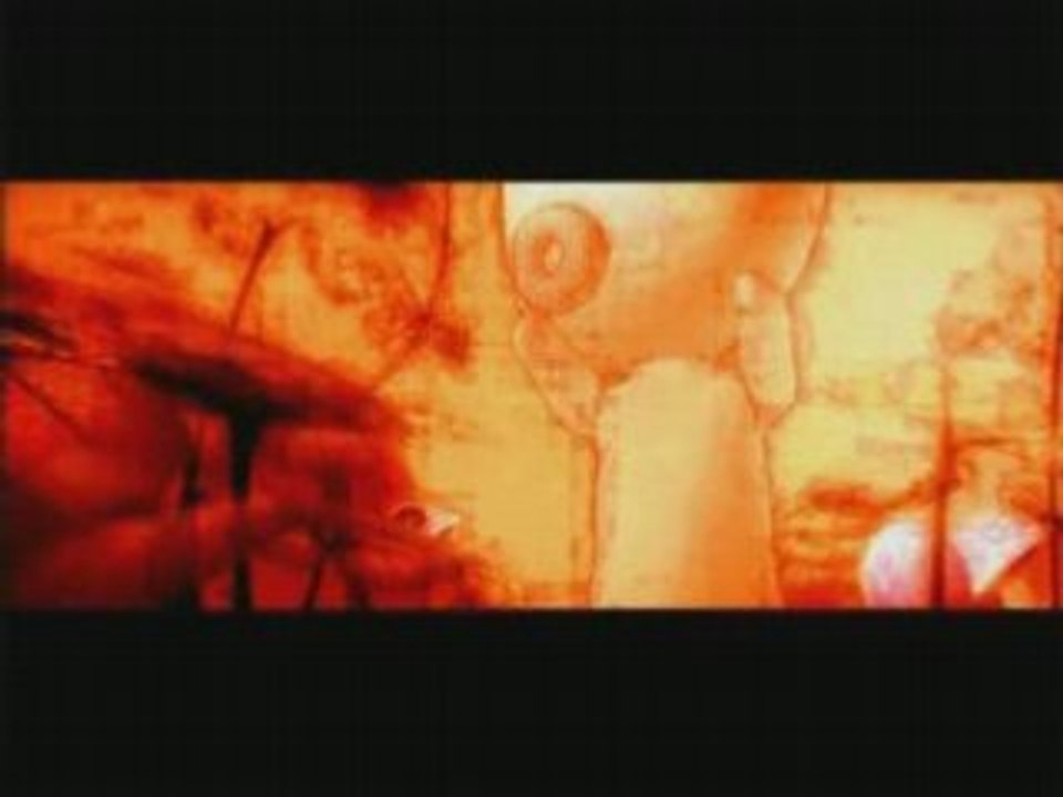 Unkle