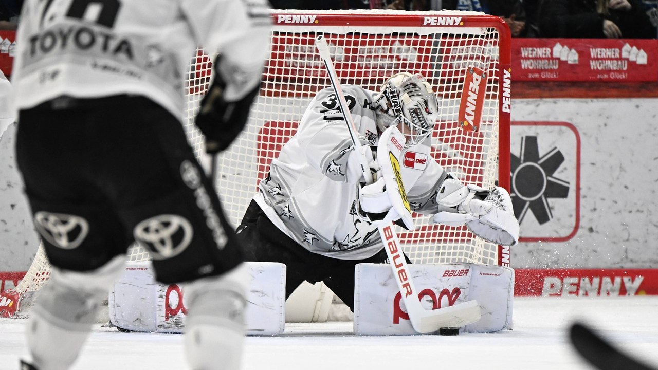 Juvonen gelingt Shutout: Haie ganz cool zum Auswärtssieg